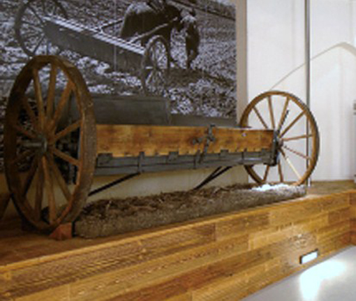 museo lcivel