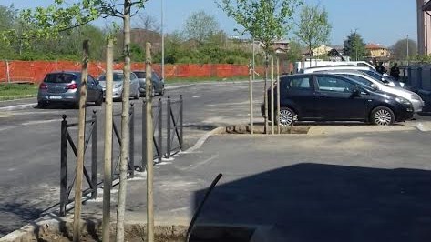 piante via Biroli