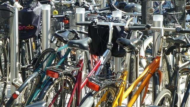 bici foto