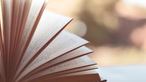 Strenne librarie dell'Aronese per tutti i gusti