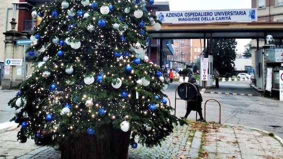 albero natale ospedale