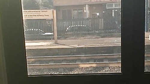 trecte porta stazione