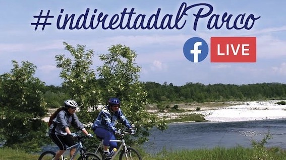 in diretta dal parco