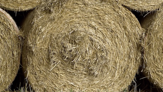 fieno