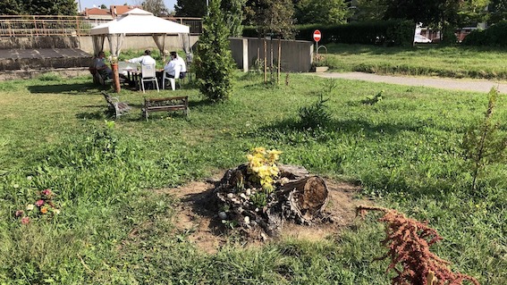 area verde agora donatello