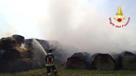 casalbeltrame rotoballe