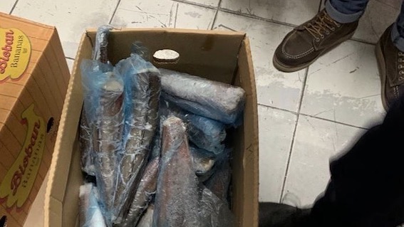 sequestro market novara