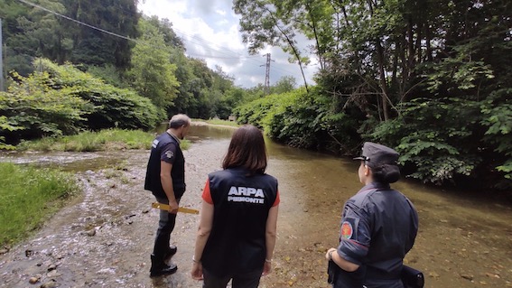 controlli arpa forestali