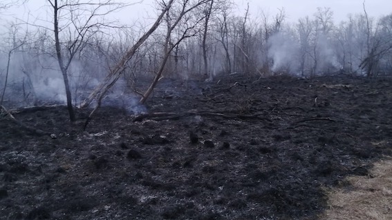 cameri fiamme bosco vedro 1