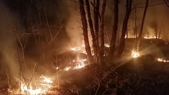 incendio parco ticino