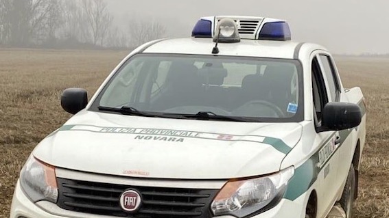 polizia provinciale auto