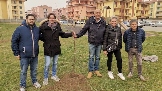 trecate piantumazione 2