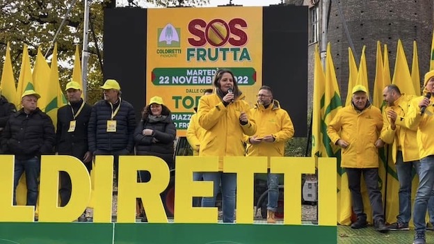 Sara Baudo sos frutta