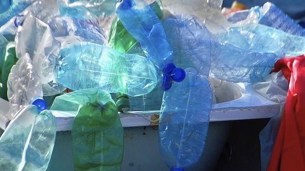 novara plastic free