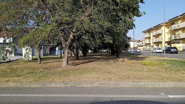 interventi verde trecate