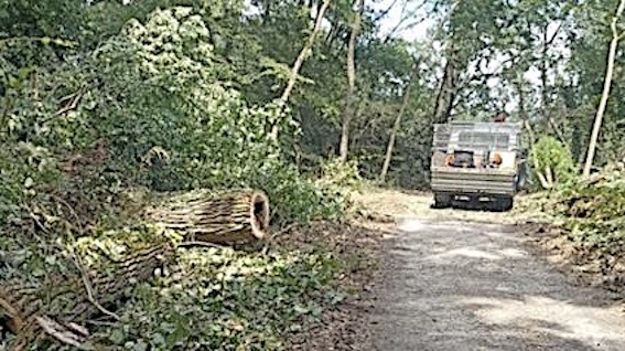 parco ticino sistemazione