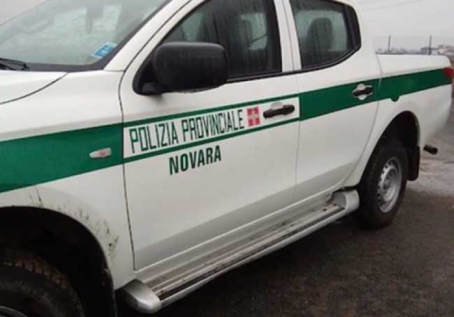 polizia provincia auto
