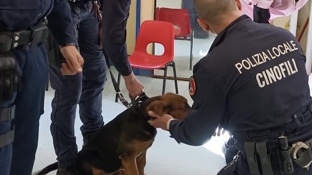 sicurezza trecate scuole