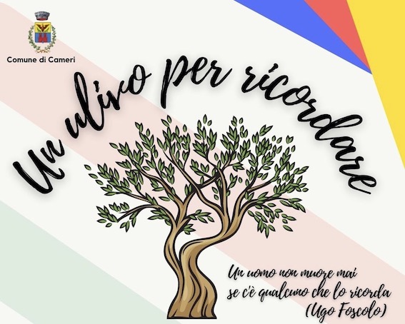 cameri ulivo