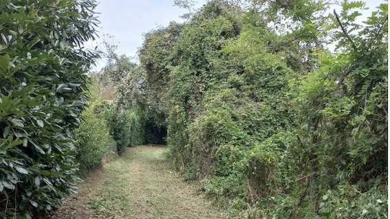 parco ciclabile manutenzione