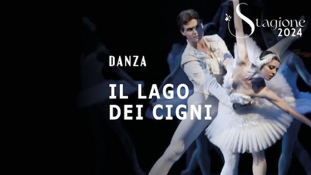 lago cigni