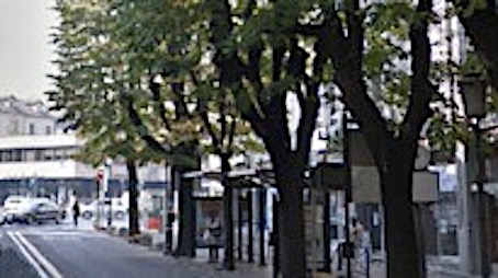 viale garibaldi repertorio