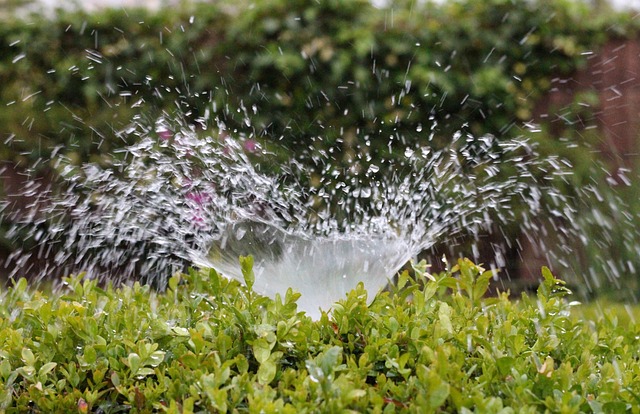 irrigazione giardino