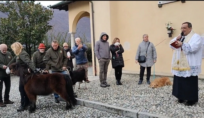 Omegna: torna la tradizionale benedizione degli animali 